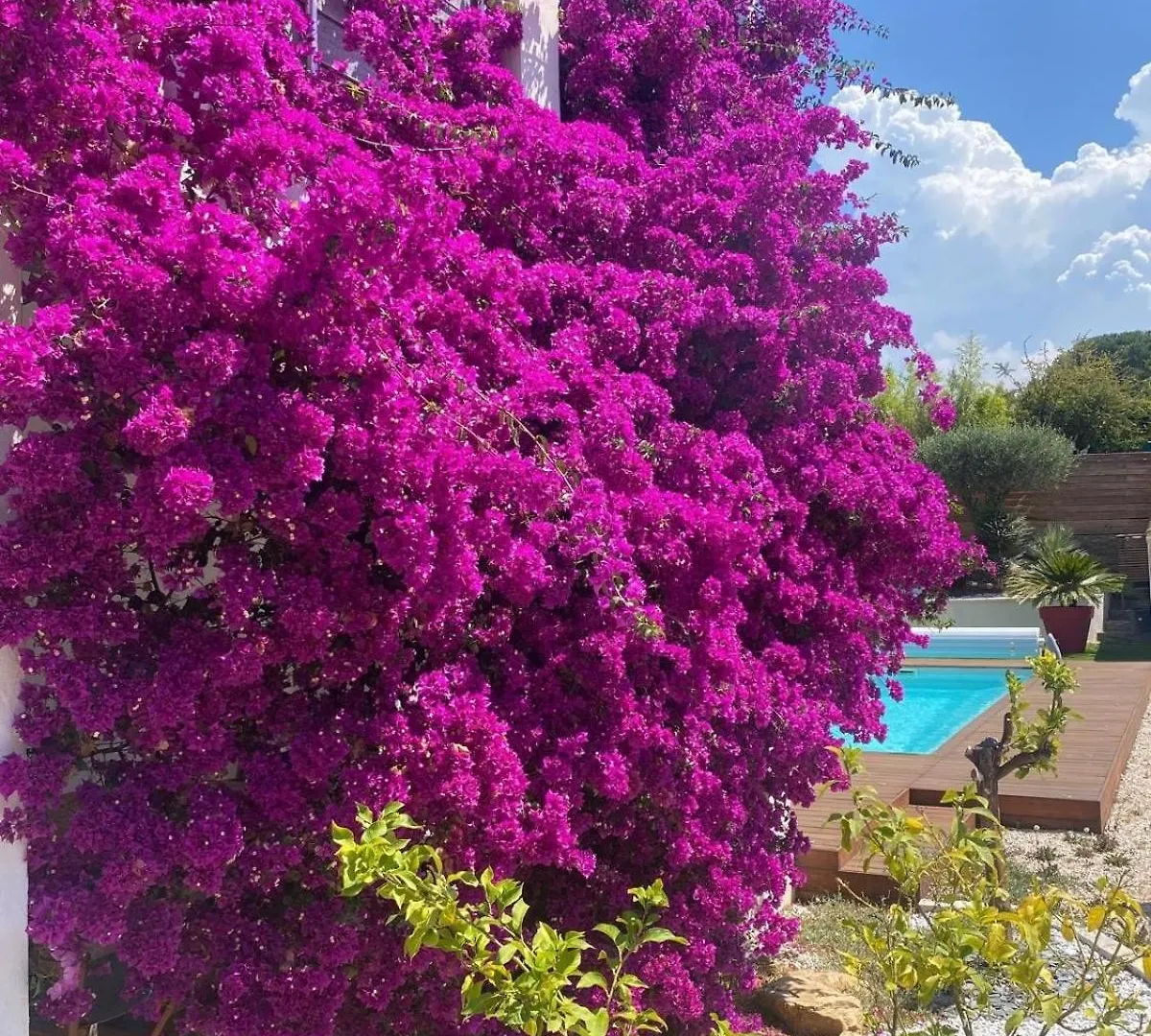 Holiday home Villa Ali Avec Piscine Et Jacuzzi A700M Du La Mer! La Ciotat